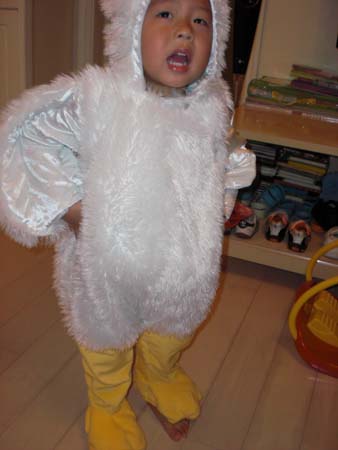 CIMG0428