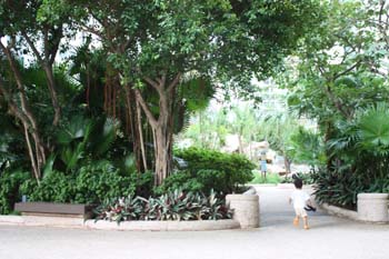 IMG_0389