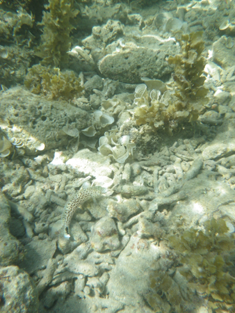IMGP5040