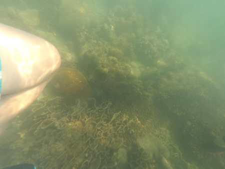 2016-08-21-141104-64