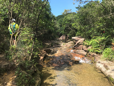 IMG-20180729-WA0045