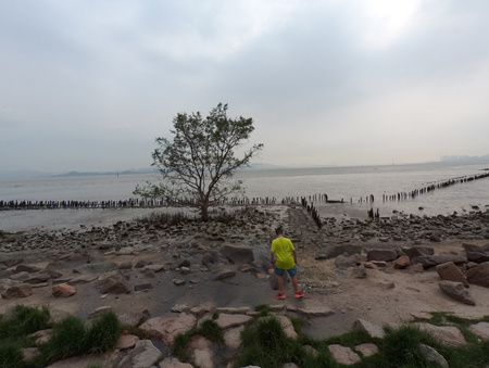 100_5025 (2)