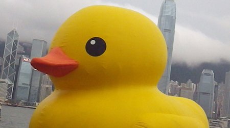 duck01