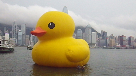 duck02