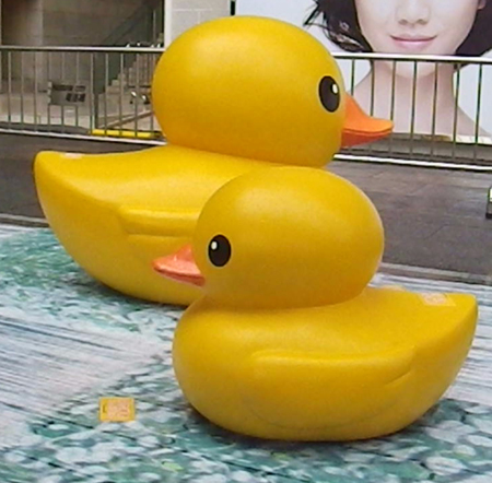 duck07