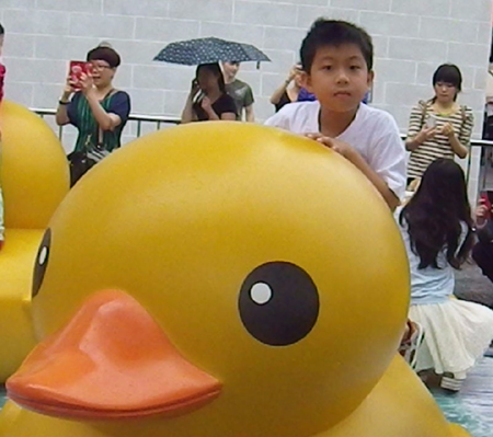 duck08