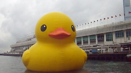duck09