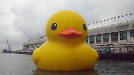 duck10