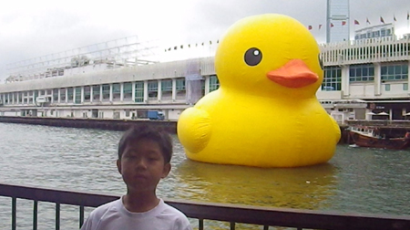duck11