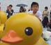 duck08