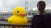 duck12