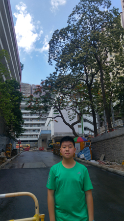 20180527_101015_HDR