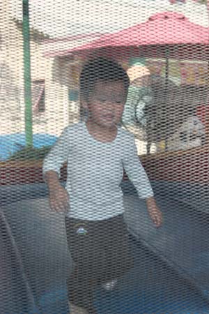 IMG_0220