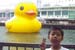 duck13