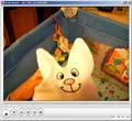 dec1206_cat_hat2